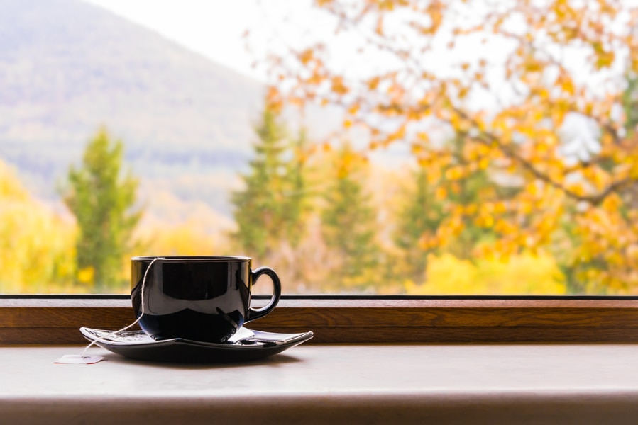 A cup of tea in front of a window with autumn view. Do I need fall HVAC maintenance?